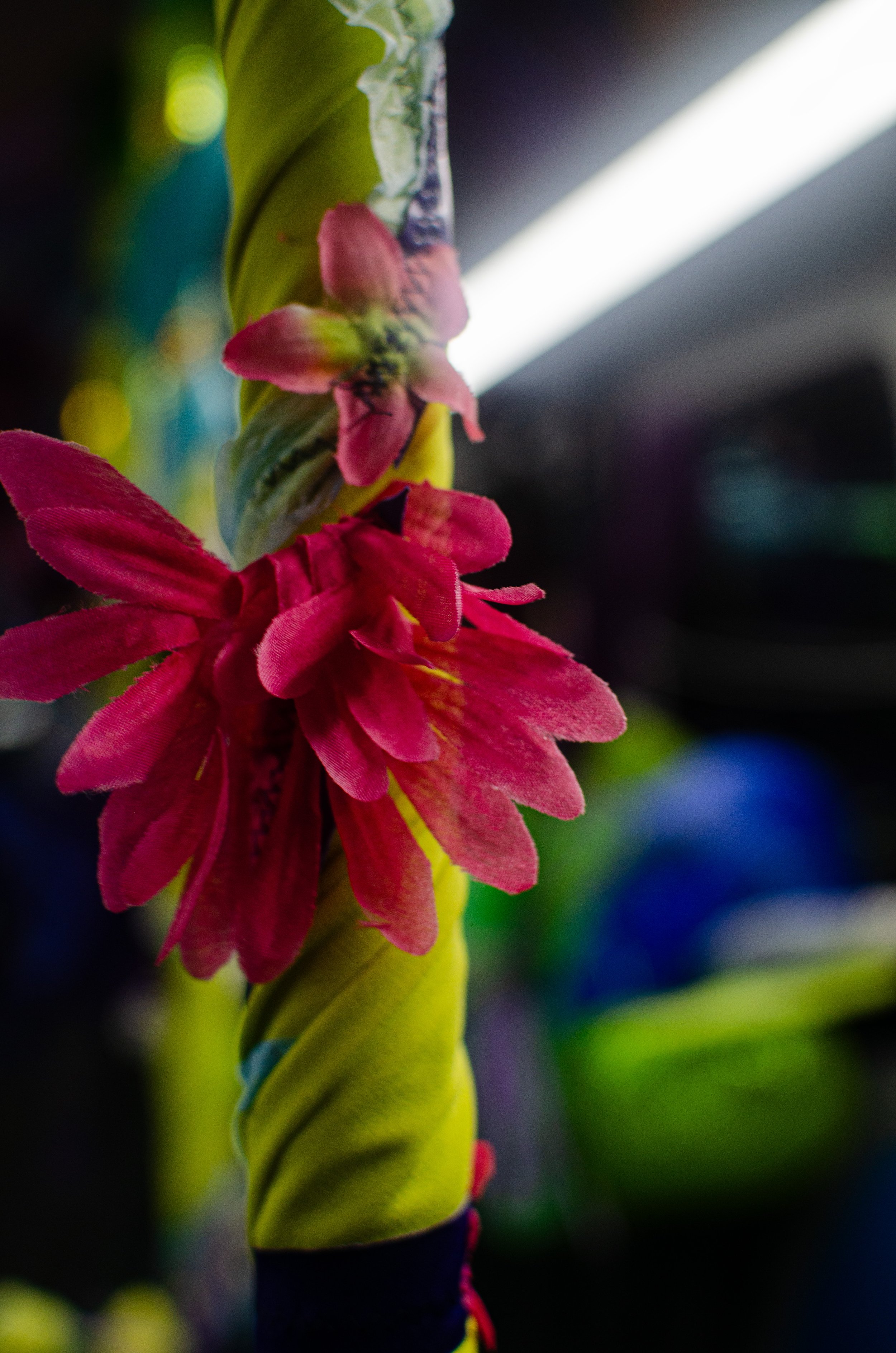 DSC_9630.jpg
