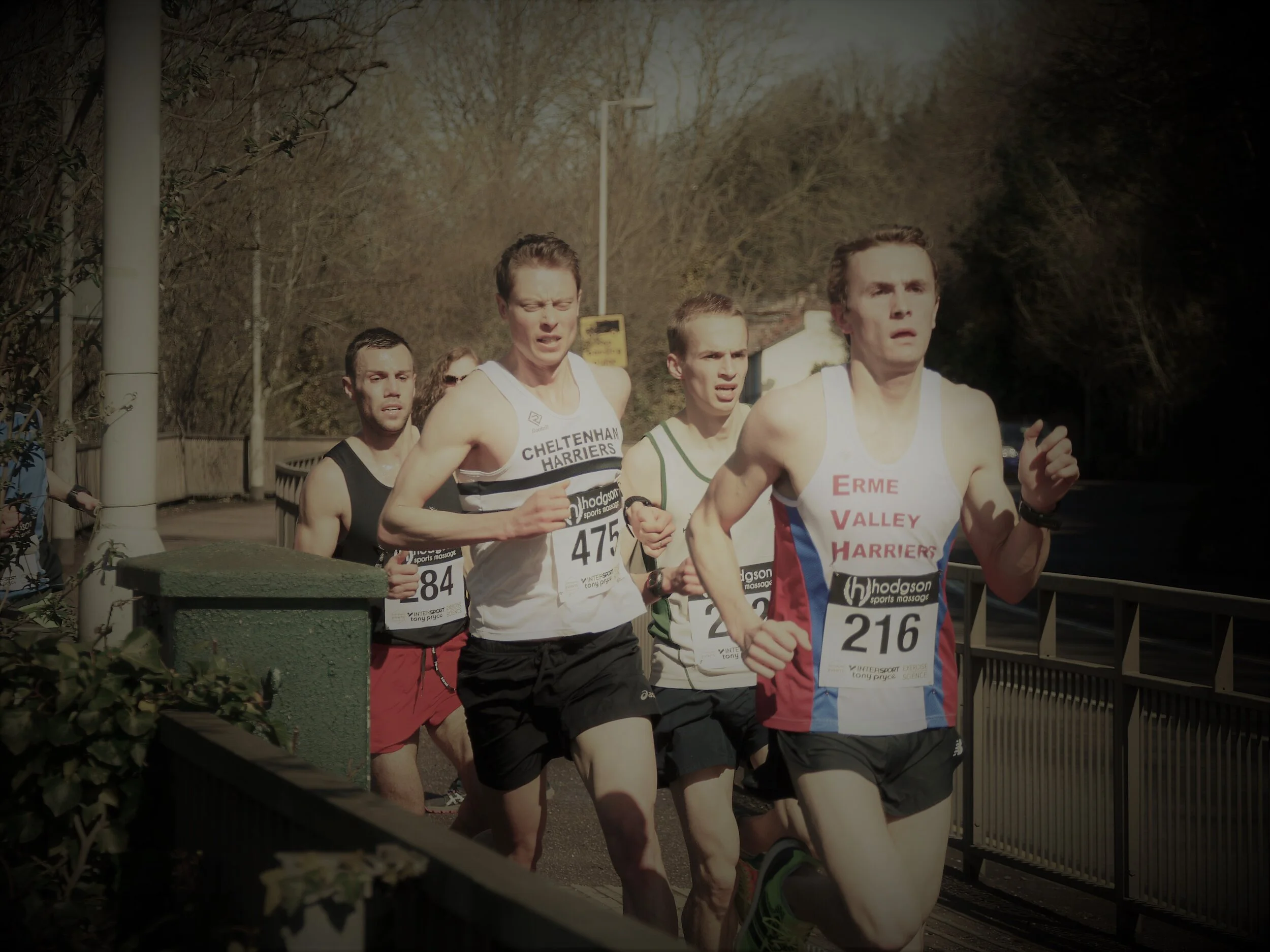 the cheltenham flyer-1.JPG