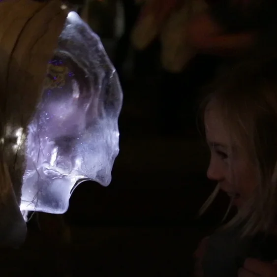 HERD: Ways /walls+windows @ GLOW Festival