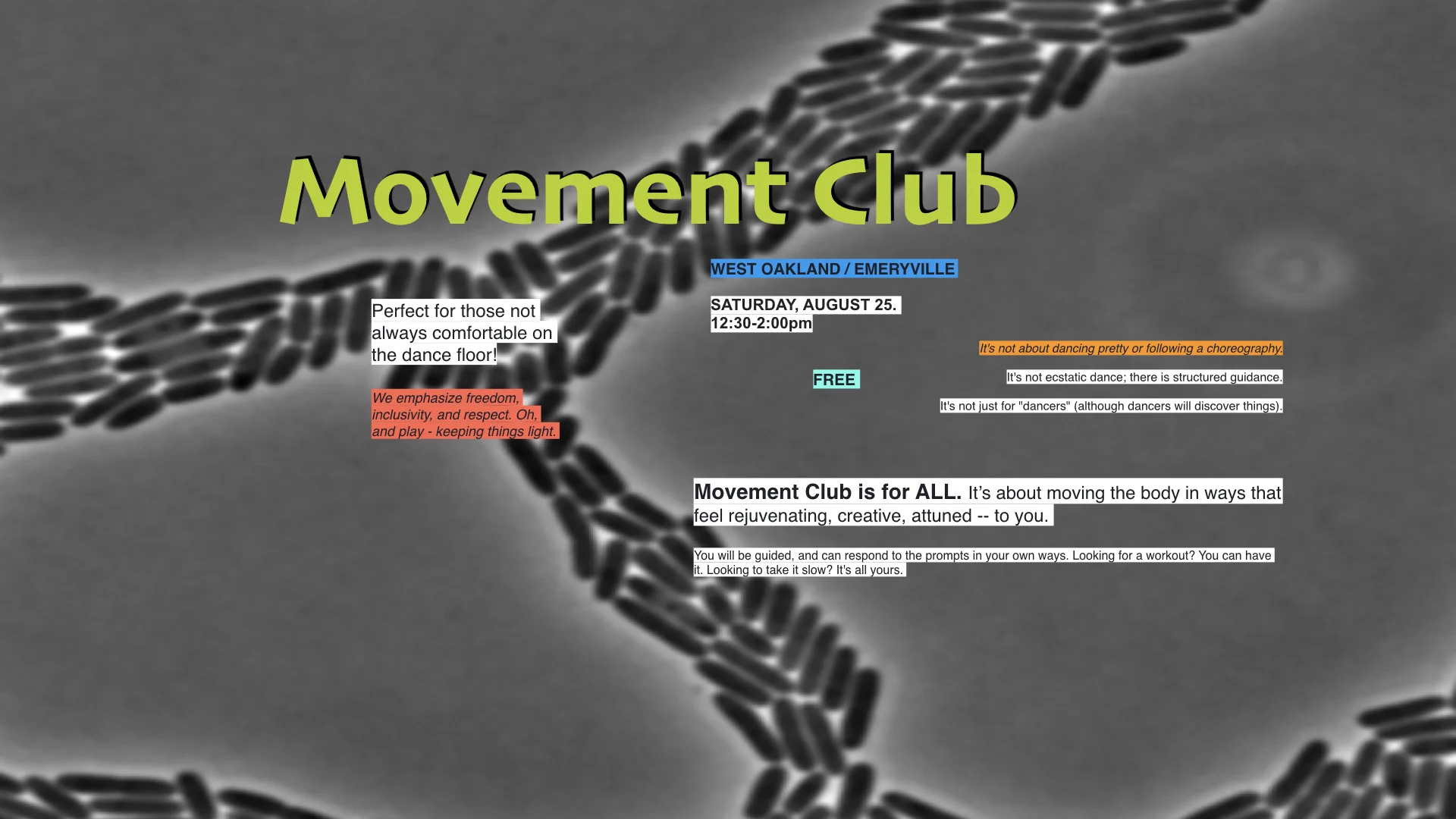 Movement-Club_FB-cover2.001.jpeg