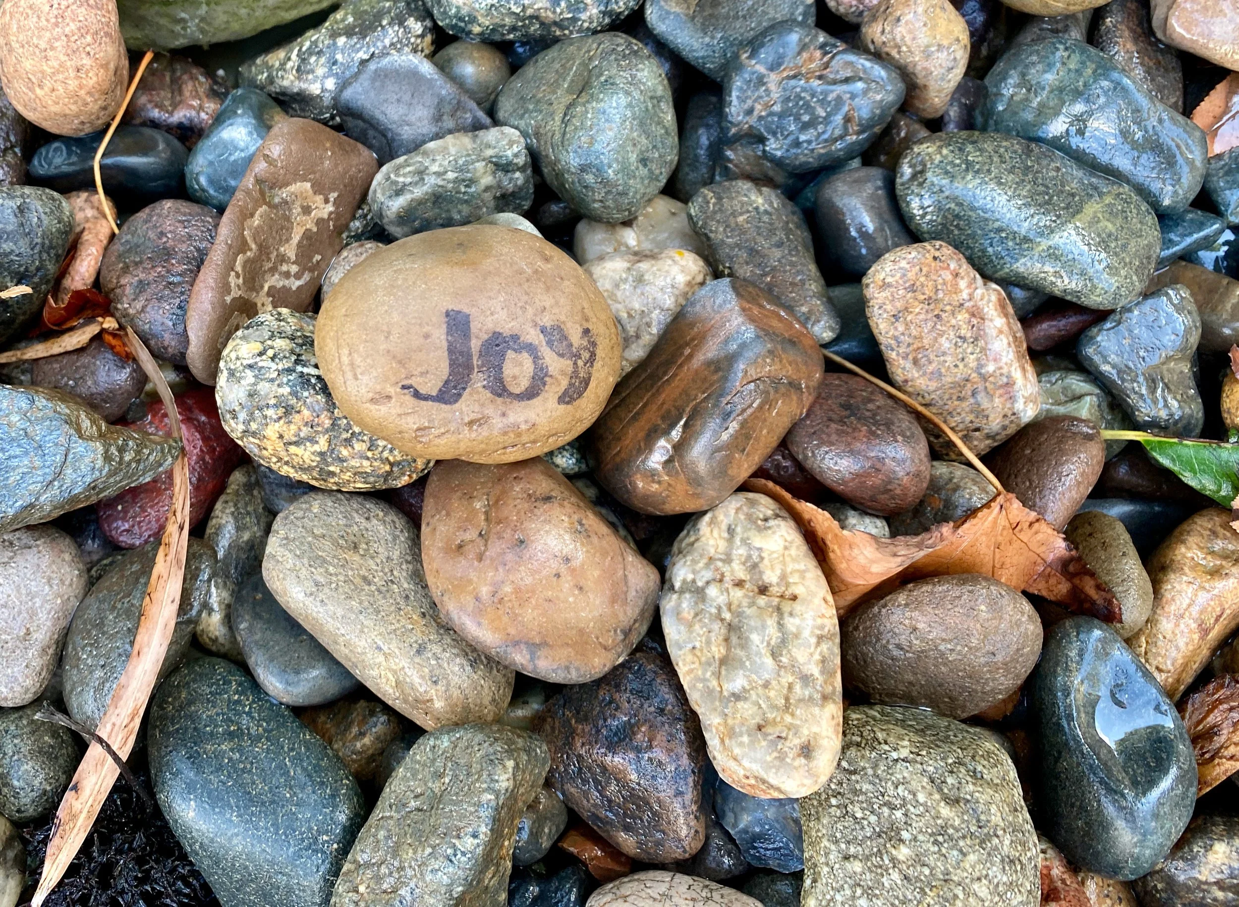 It's a Fountain of Youth