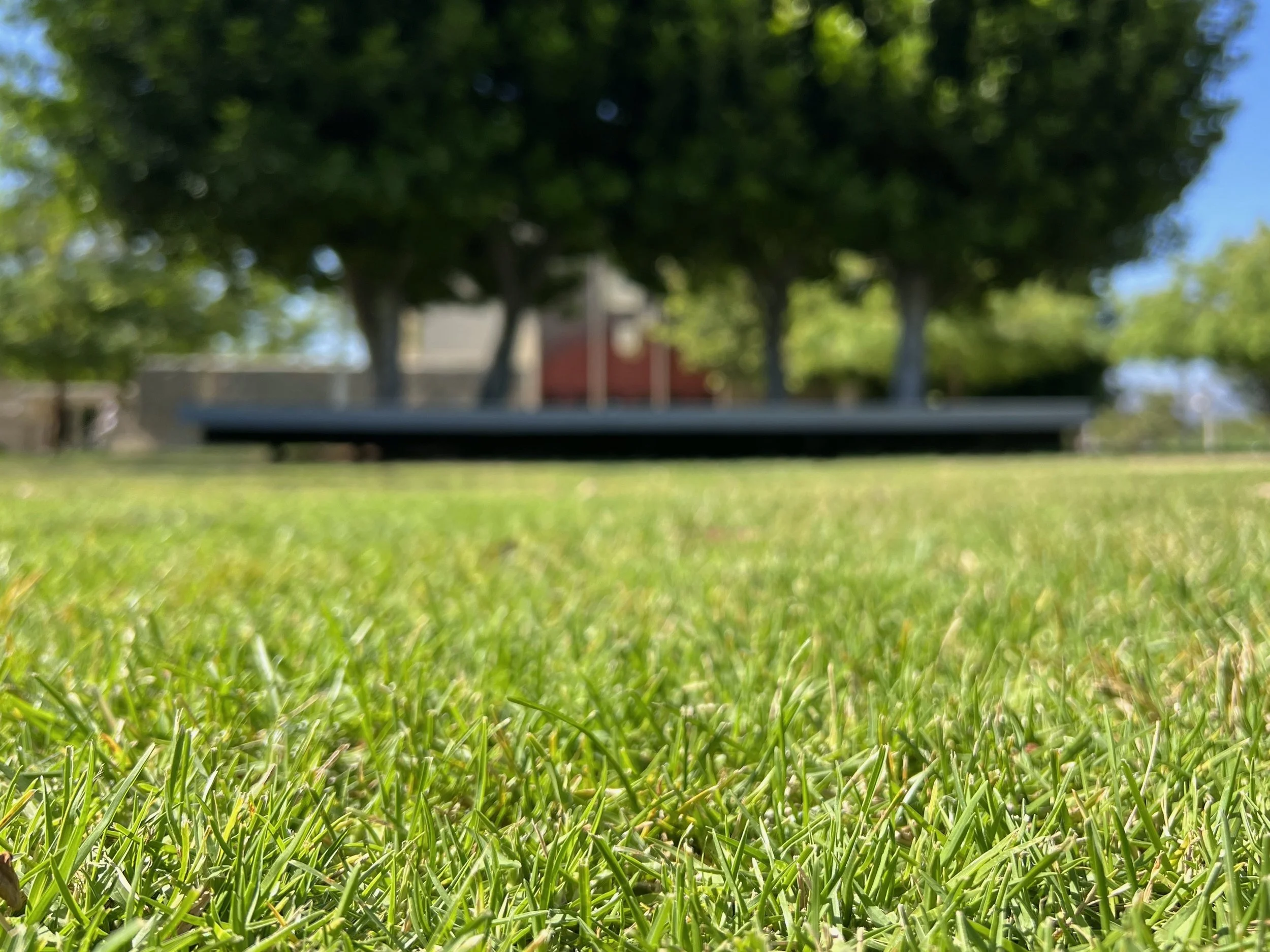 Scholar Soiree Series - Rev. Krista M. Wuertz, Ph.D.