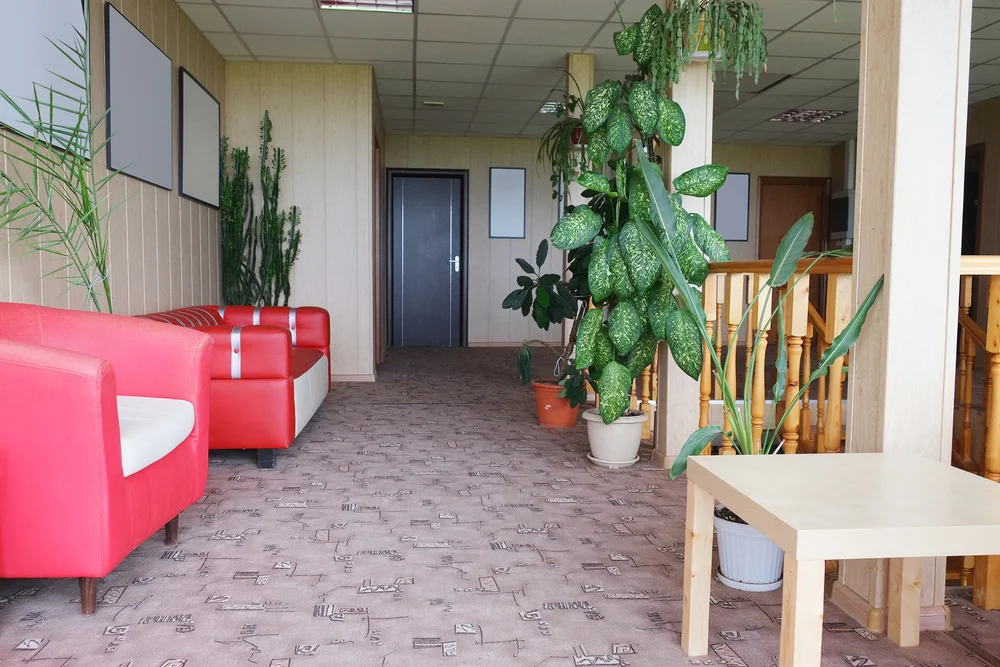 A Quick Look Through All-New Range of Faux Plants of Plantscape Inc copy.jpg