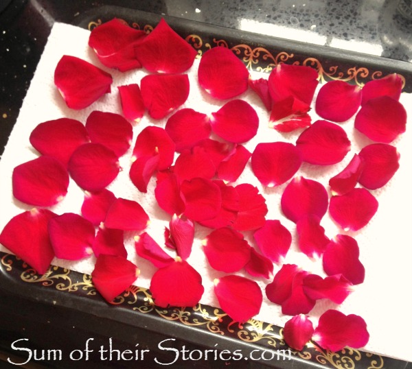 drying rose petals
