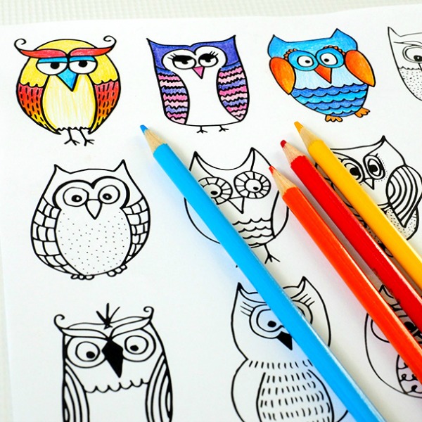 Owls2.jpg