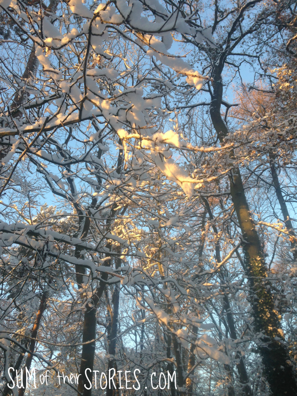 winter snow