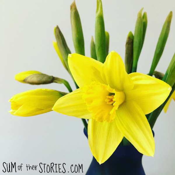 daffs.png