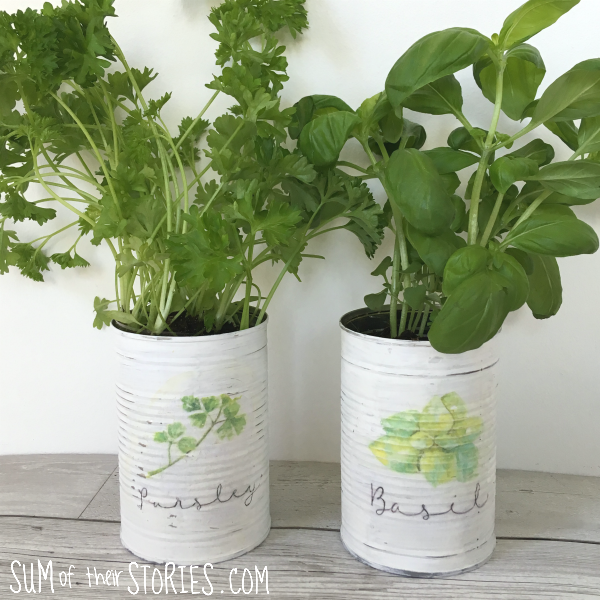 Upcycled can herb planters