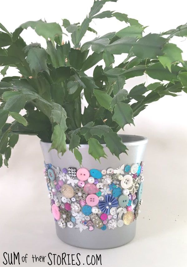 embellished plant pot