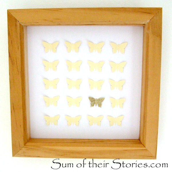 butterfly specimen picture.jpg