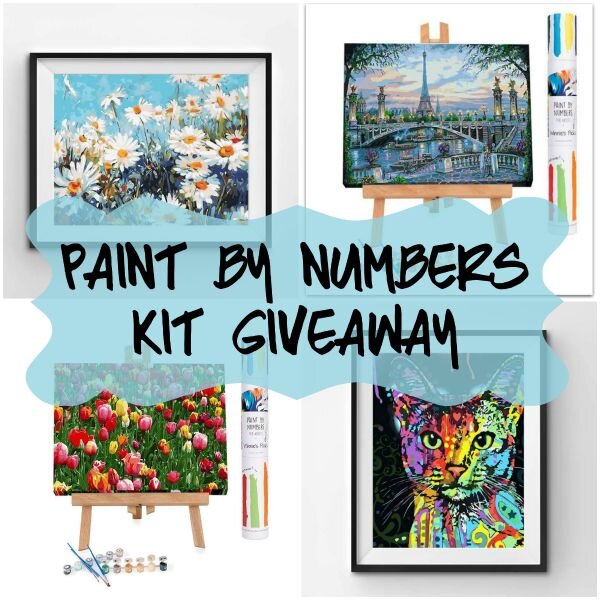 Paint by numbers kit giveaway