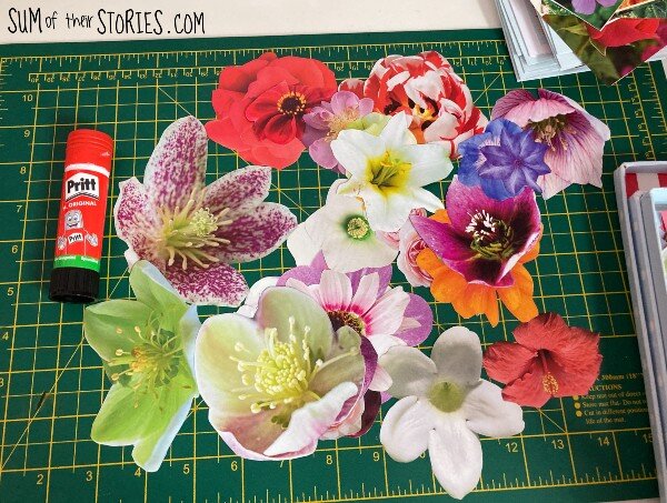 A pile of flowers cut out from a magazine