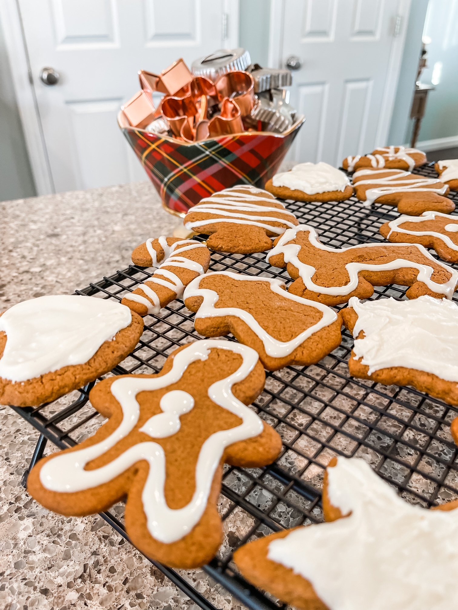 Easy Roll Out Gingerbread Cookies