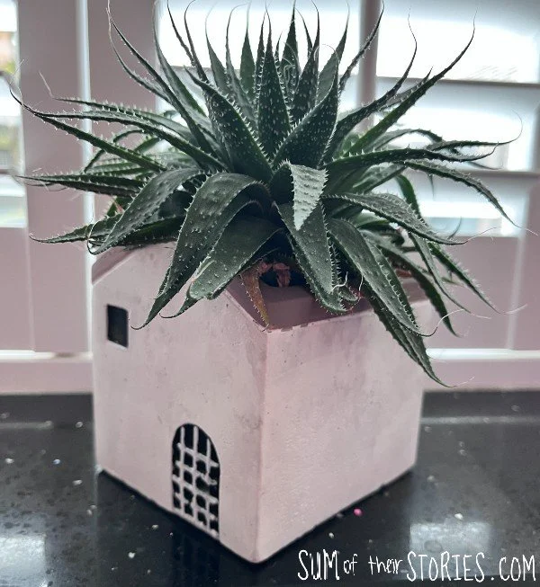 house shaped planter with aloe vera plant