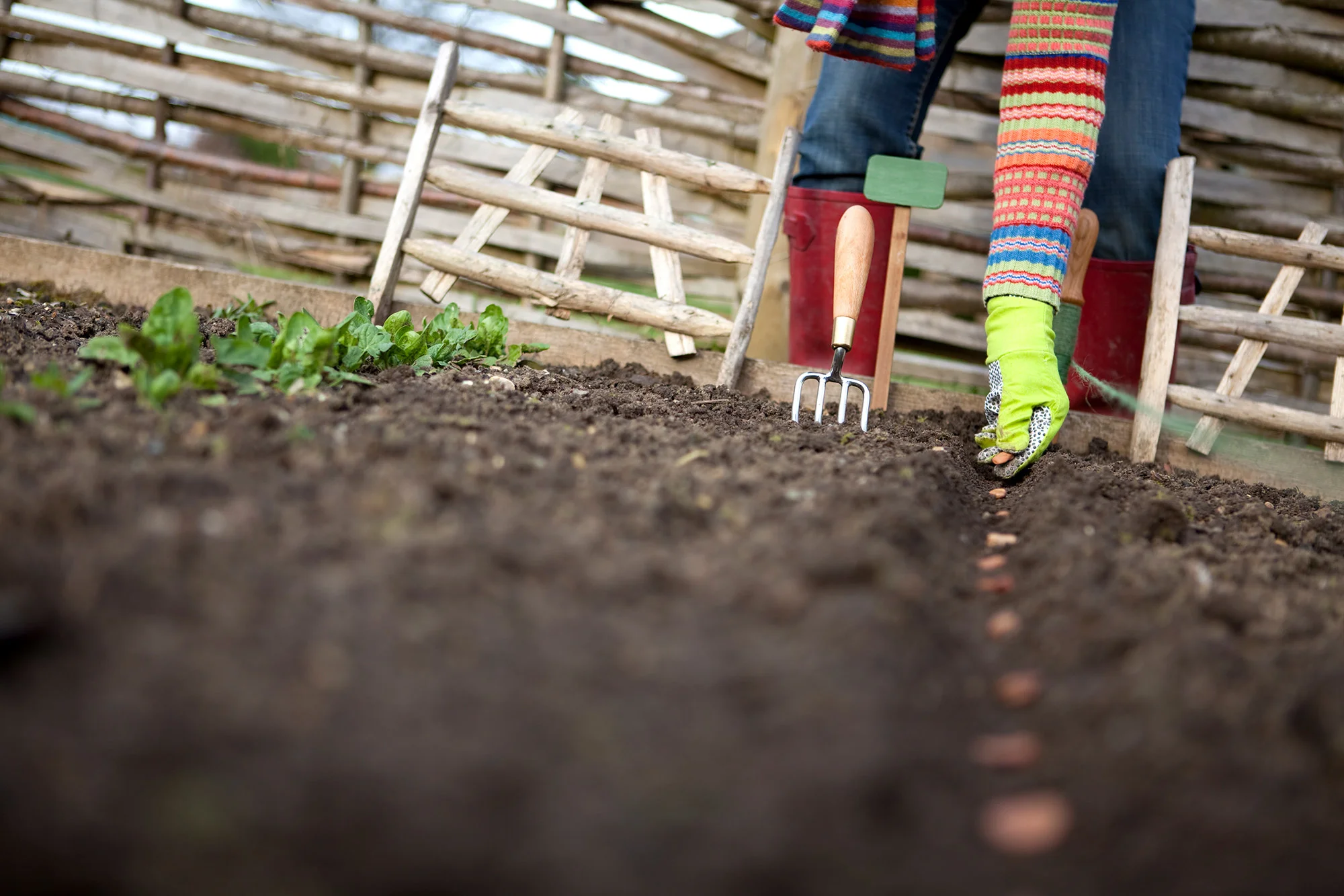 althea-foundation-home-mission-banner.jpg