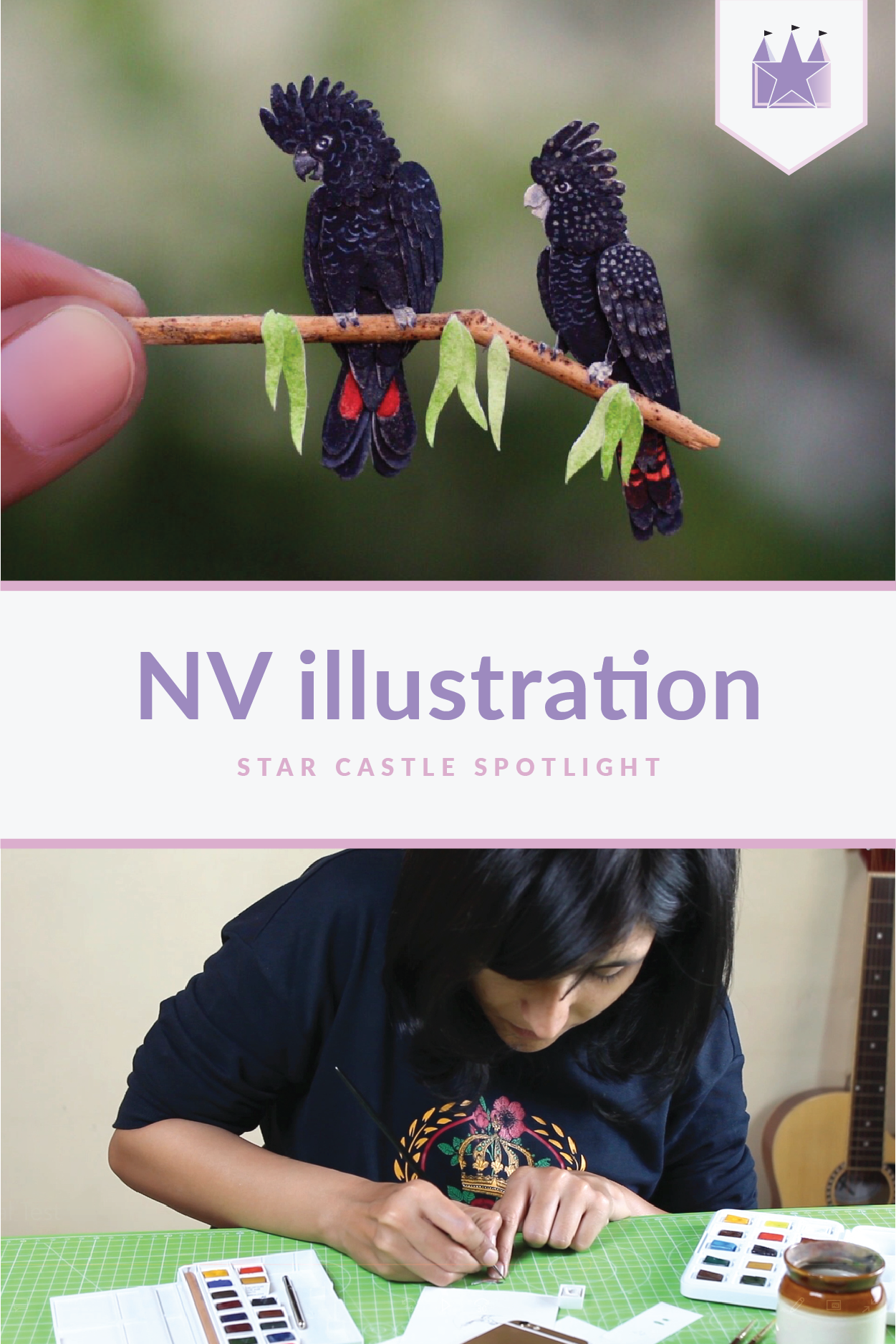 Star Castle Spotlight NV Illustration.png