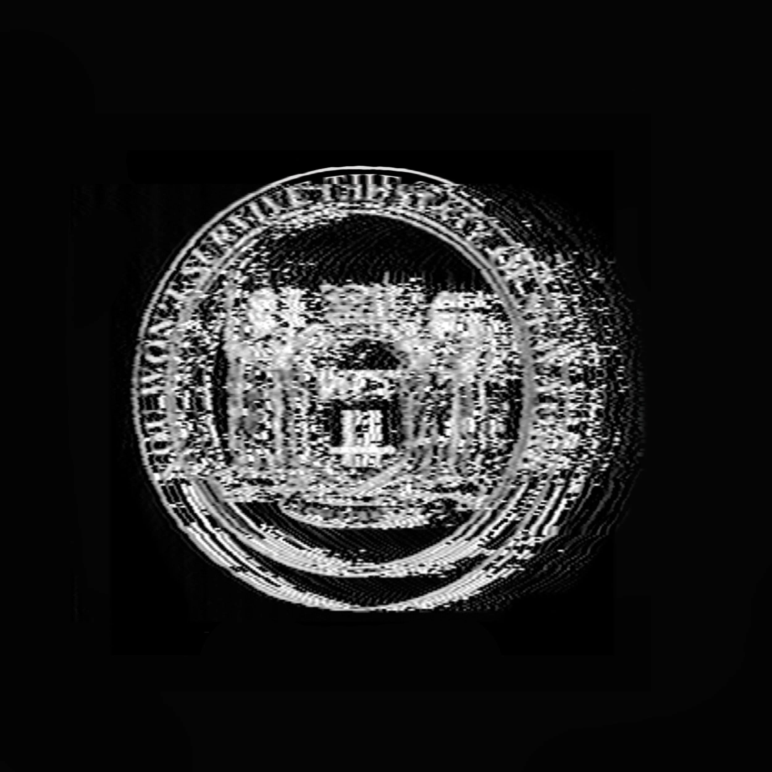 NOLIFE - YOU WON'T SURVIVE THE STATE OF NEW YORK (2017)