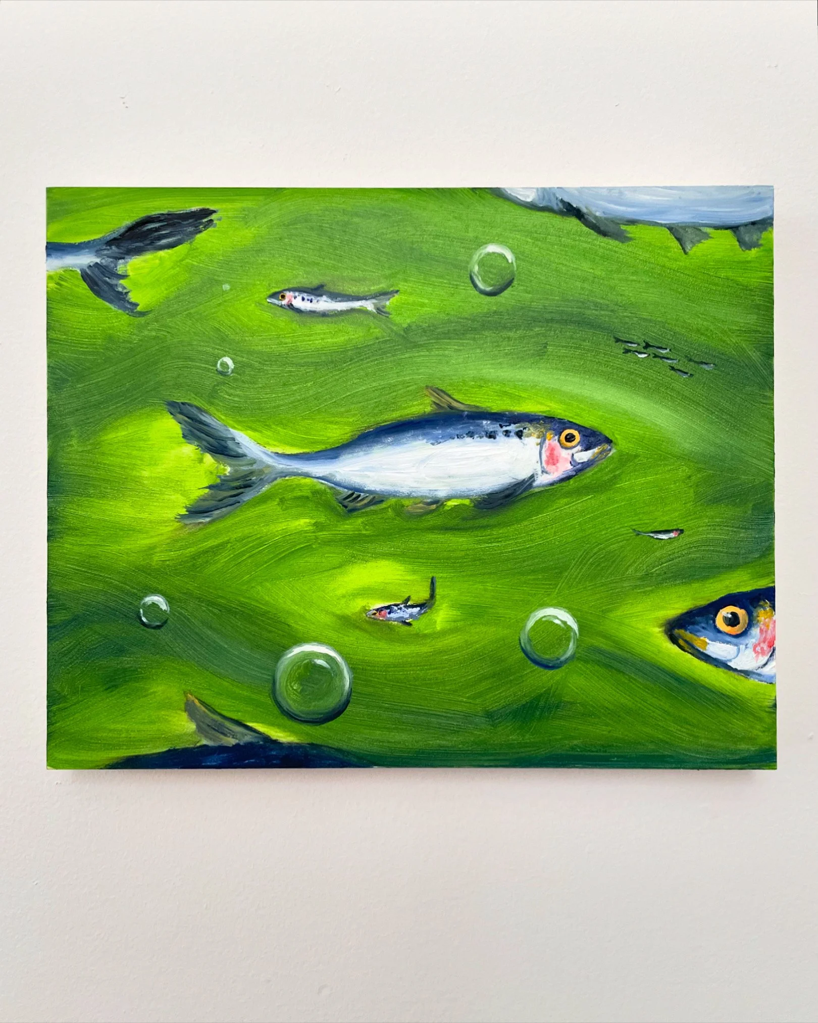 Sea of Sardines.JPEG