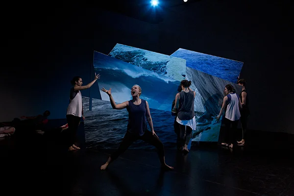 Sea Change Within Us. May 10-12, 2019 A Collaboration with Karin Stevens Dance including ten dancers moving four wall pieces into place while interacting with the individual walls. This one hour performance was at Base: Experimental Arts + Space in Seattle’s Georgetown Arts District. Intimate movement dealing with water concerns and climate change consequences, featured a 3-D installation by myself, original sound score by Seattle composers Jessi Harvey and Kaley Lane Eaton , costumes by Sarah Mosher, and lighting design by Sara Torres. All photos by Michelle Smith-Lewis, except the final two images taken by Roger Feldman.