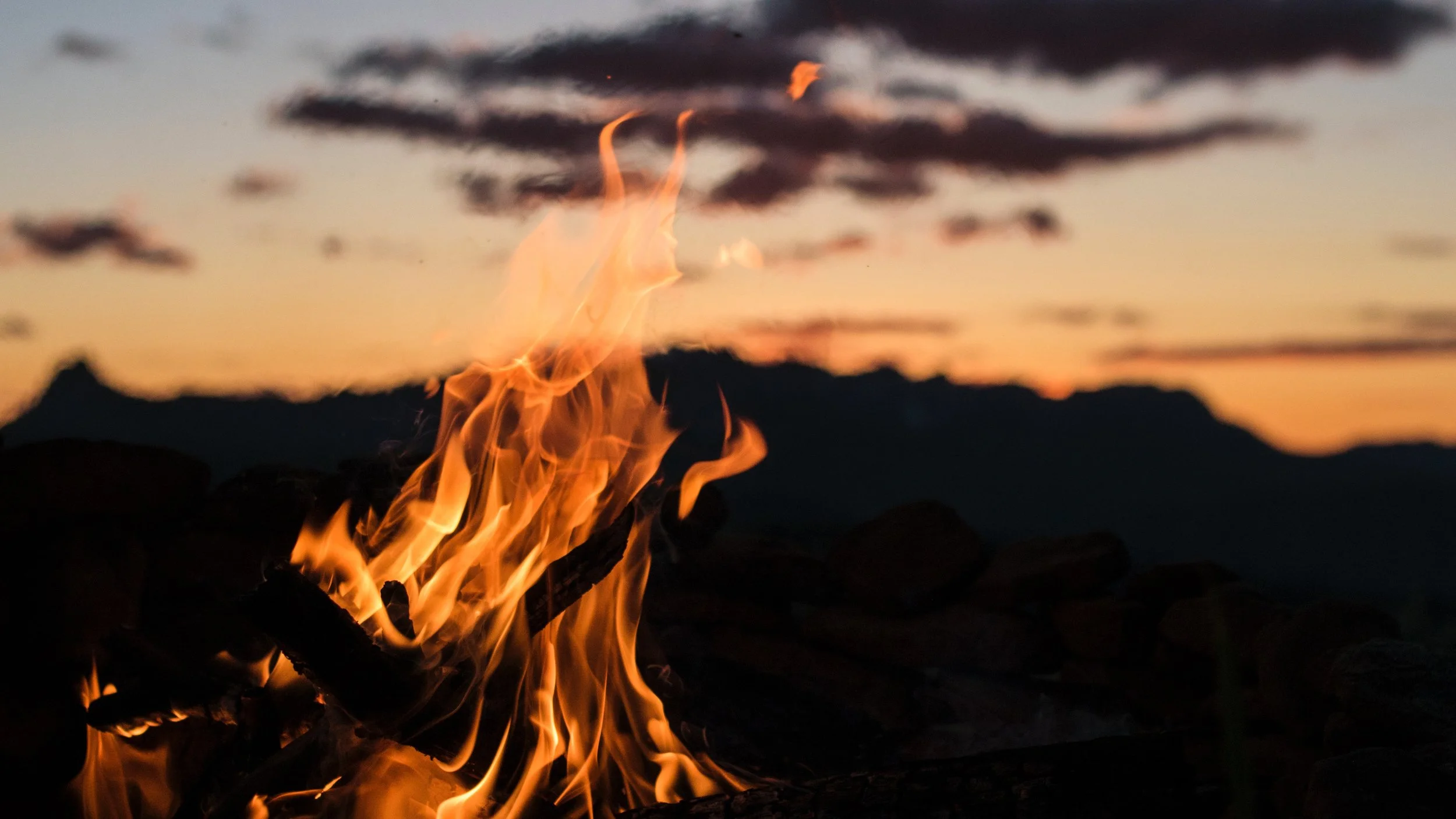 Photo by Colter Olmstead on Unsplash