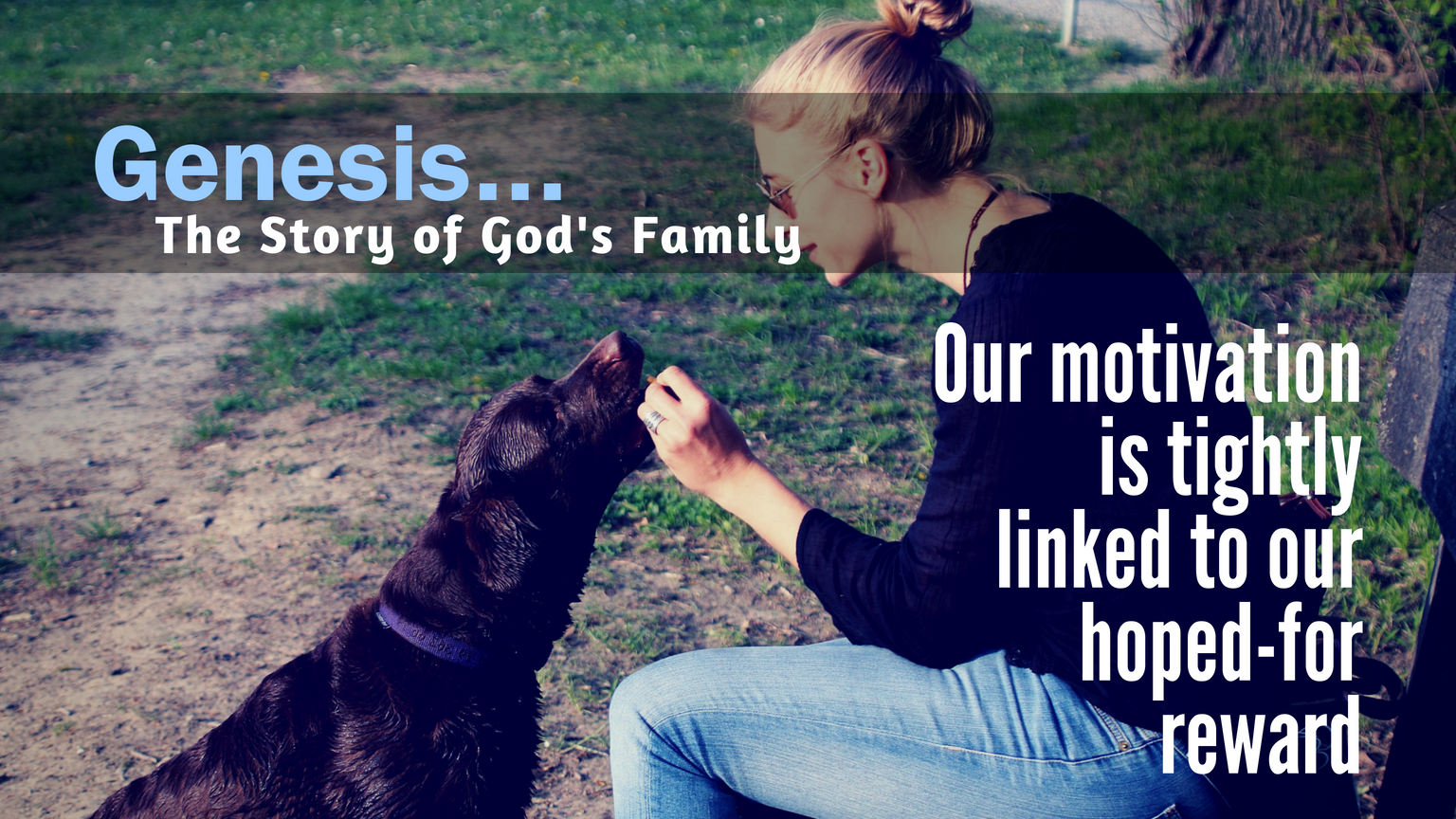 Genesis Day 26: Our motivation is tightly linked to our hoped-for reward