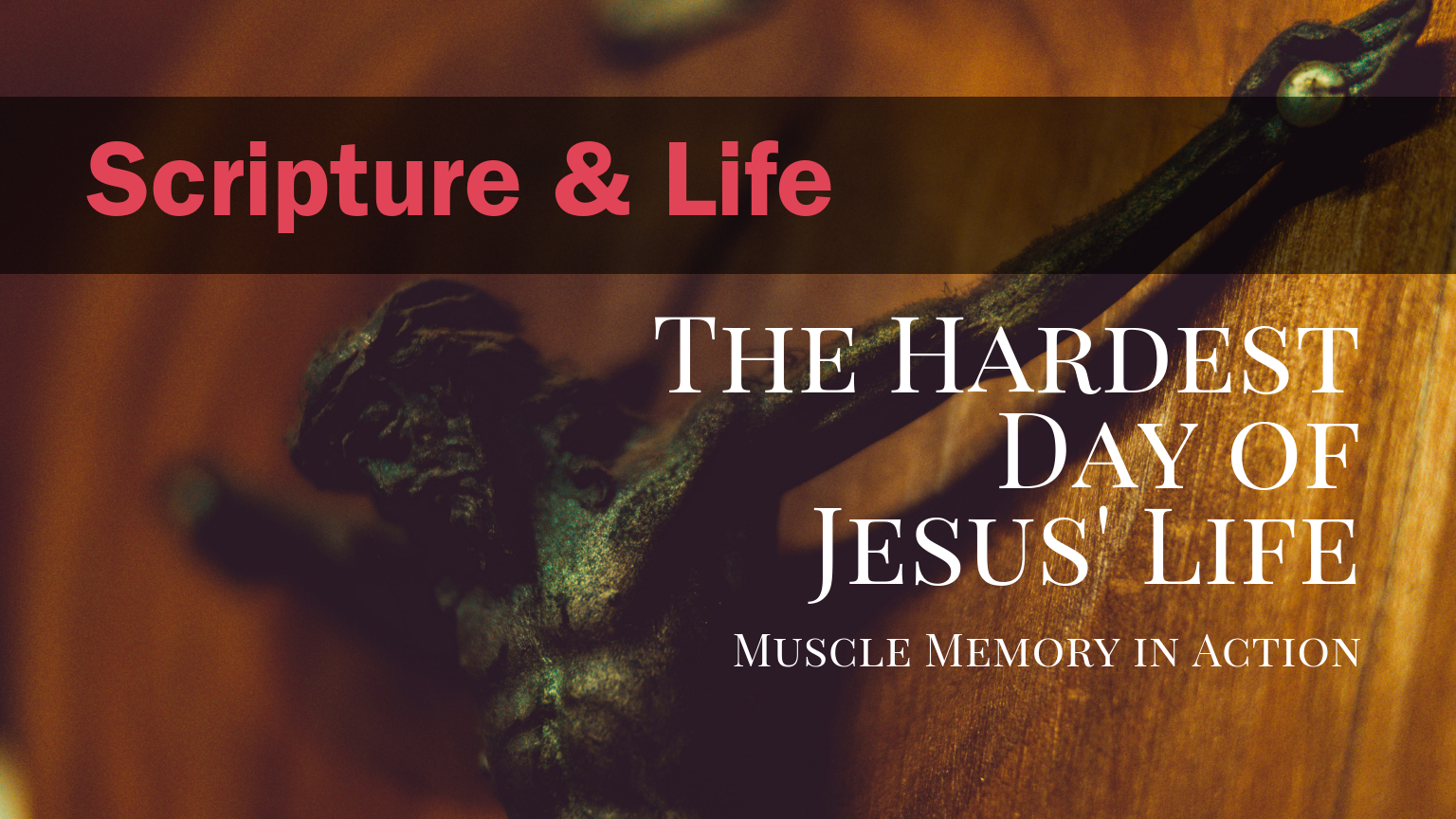 Luke 22:44 — The Hardest Day of Jesus’ life: Muscle Memory in Action