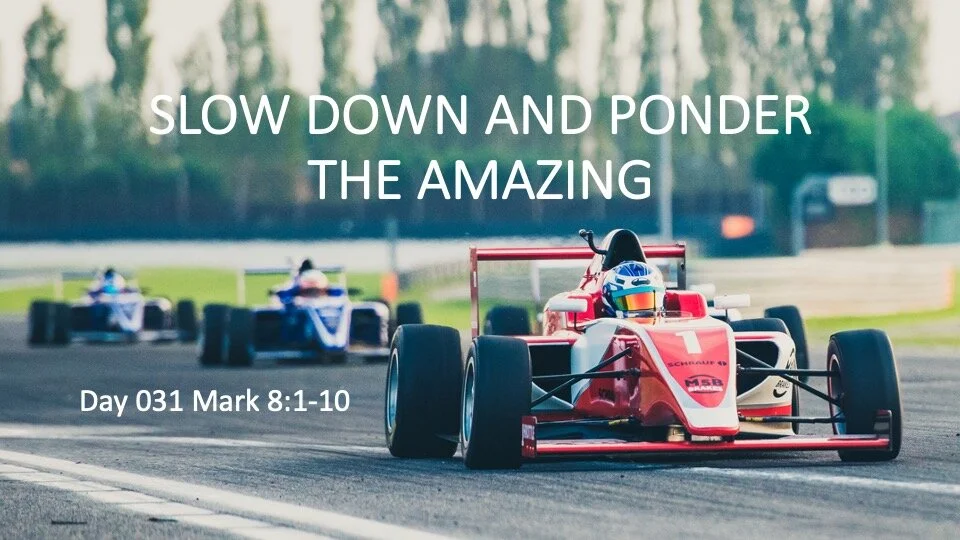 SLOW DOWN AND PONDER THE AMAZING