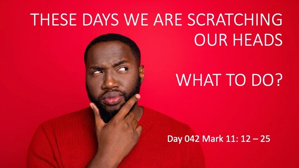 THESE DAYS WE ARE SCRATCHING OUR HEADS WHAT TO DO?