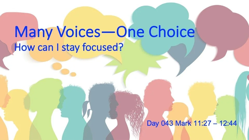 MANY VOICES—ONE CHOICE