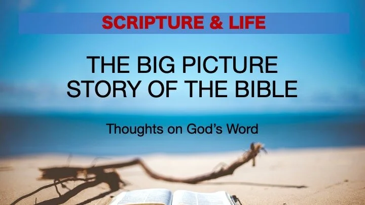 The BIG Picture Story of the Bible