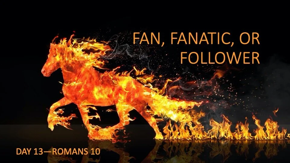 FAN, FANATIC, OR FOLLOWER
