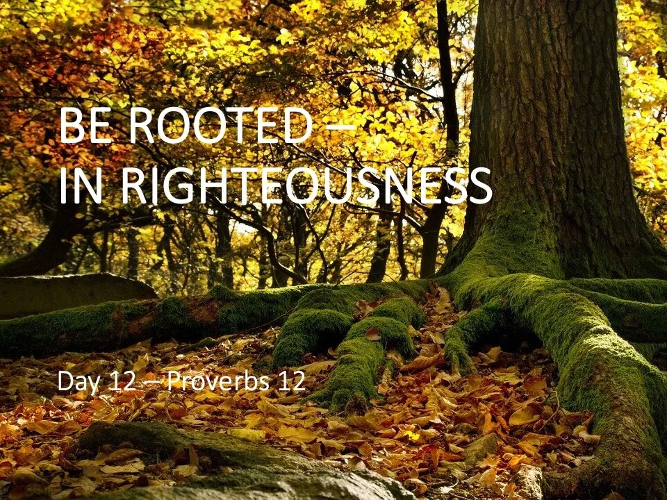BE ROOTED—ROOTED IN RIGHTEOUSNESS