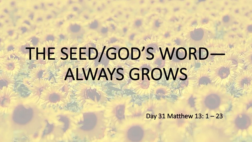 THE SEED/GOD’S WORD—ALWAYS GROWS