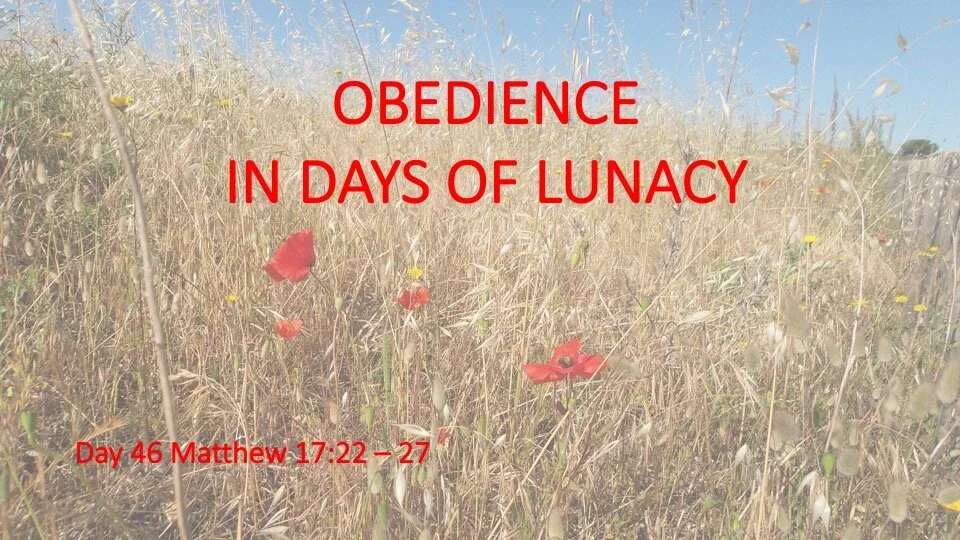OBEDIENCE IN DAYS OF LUNACY