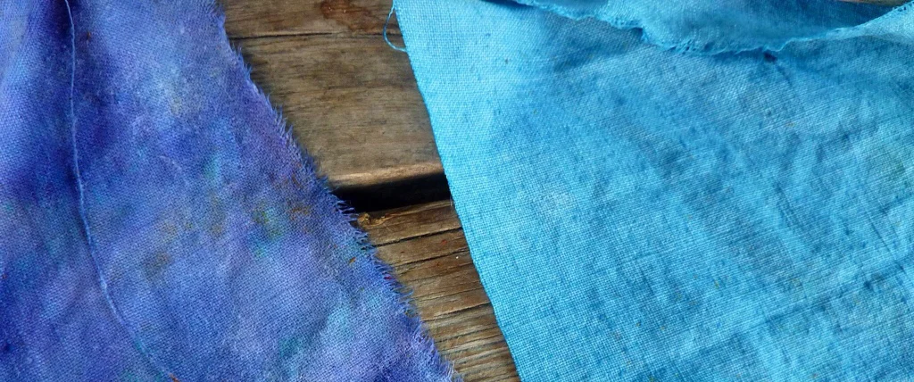 Blue ink extracted from iris petals and stored in ‘clothlet’ form, a method used in medieval times to transport ink by soaking clothes in ink and drying them.