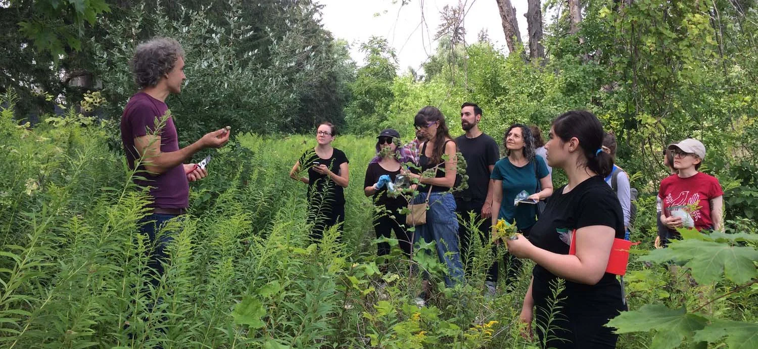 Logan & group forage for color in an urban landscape. Photo courtesy of Jason Logan.