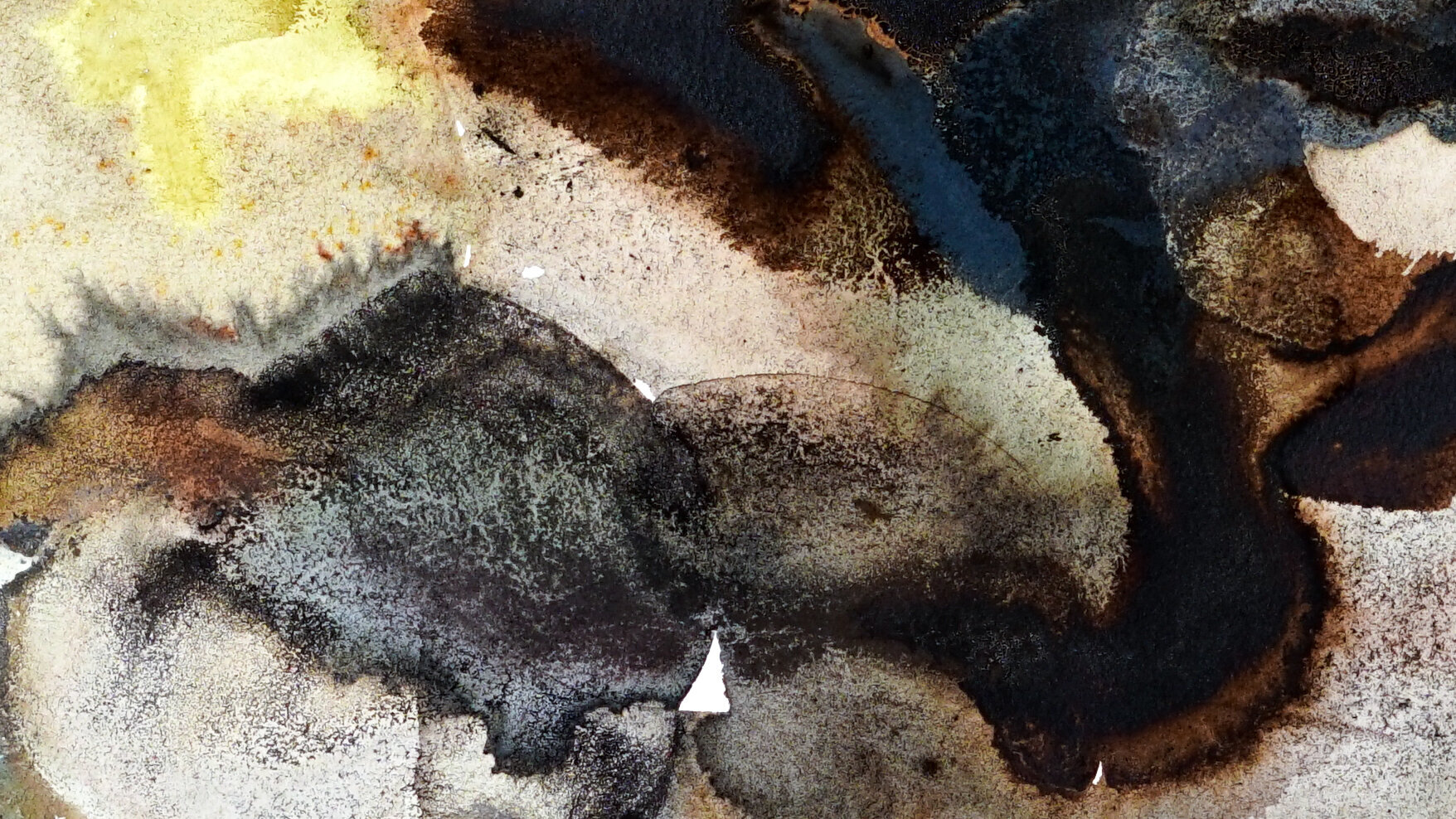Habits+Of+Land+Detail-+23.5+x+35+-+Walnut,+Dandelion,+Blackberry,+Bog+Myrtle,+Oak+Gall,+Madder,+Copper,+Iron,+Alum,+Charcoal-2.jpg