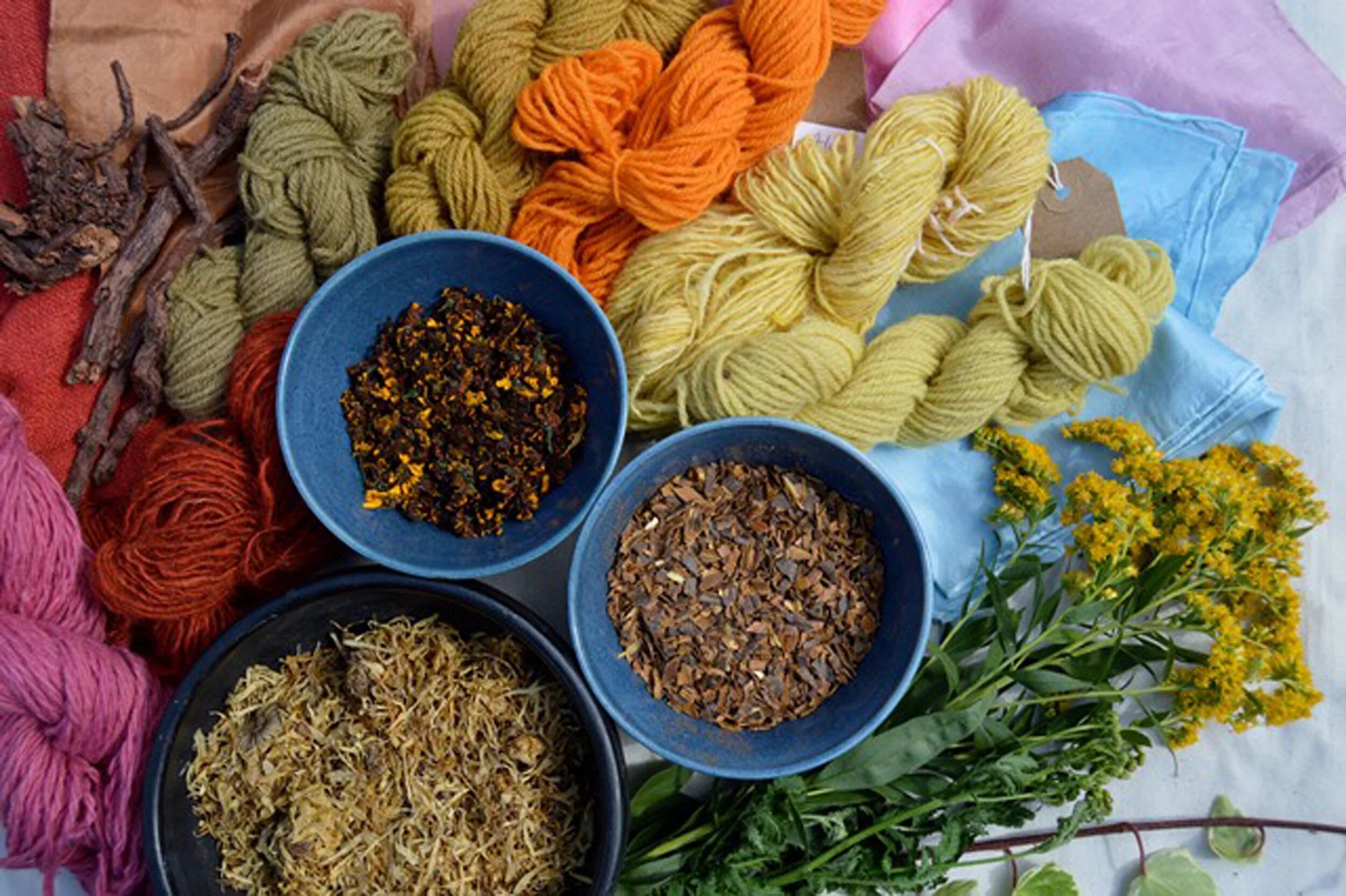 Dyes and samples 2.JPG