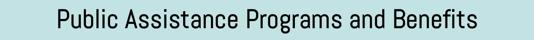 Public Assistance Programs.png