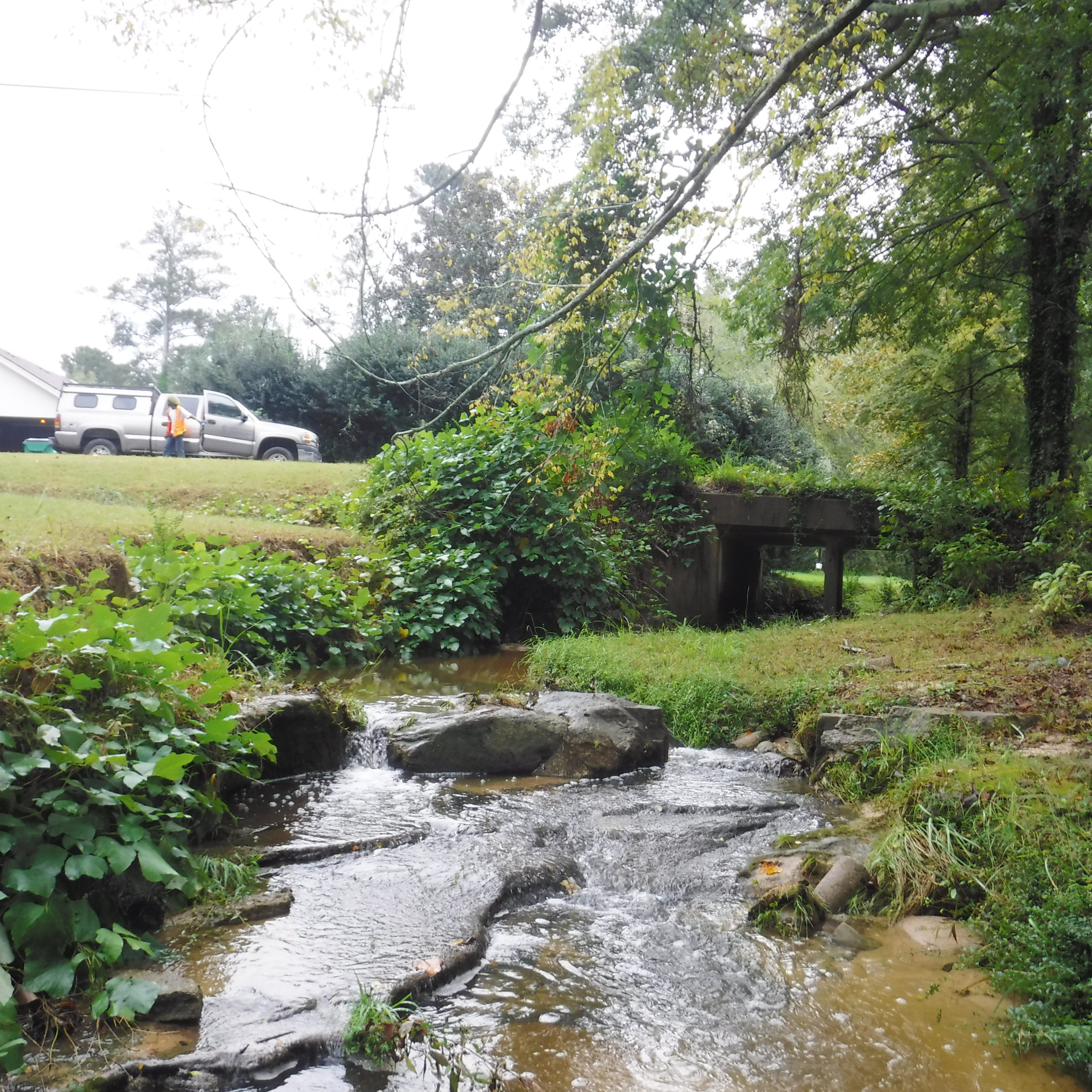 stream bridge.jpg