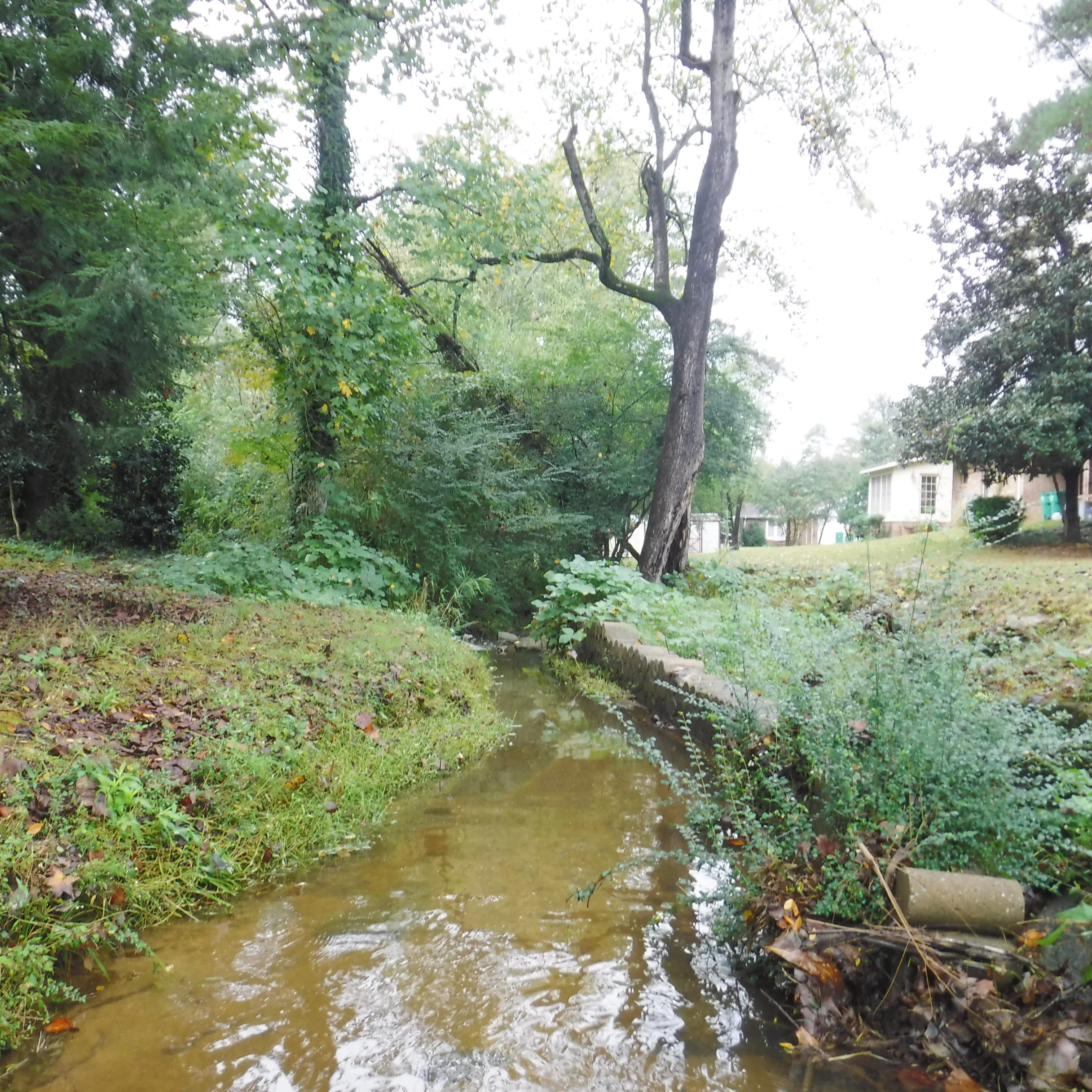 stream.jpg