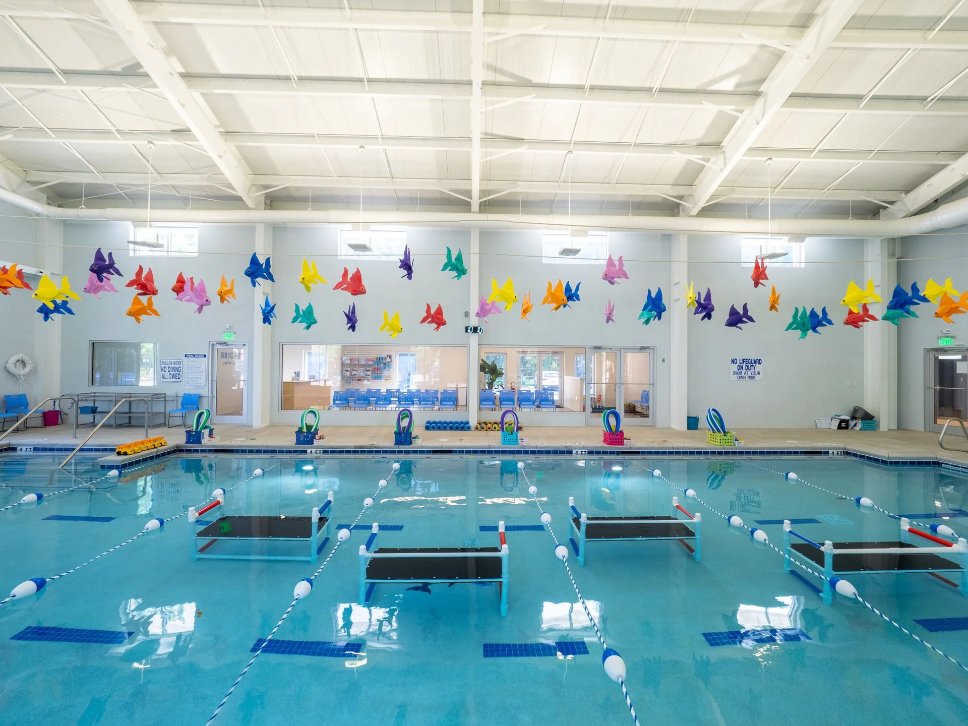 Brighton Swim Academy