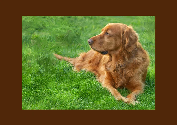 webscoob.jpg