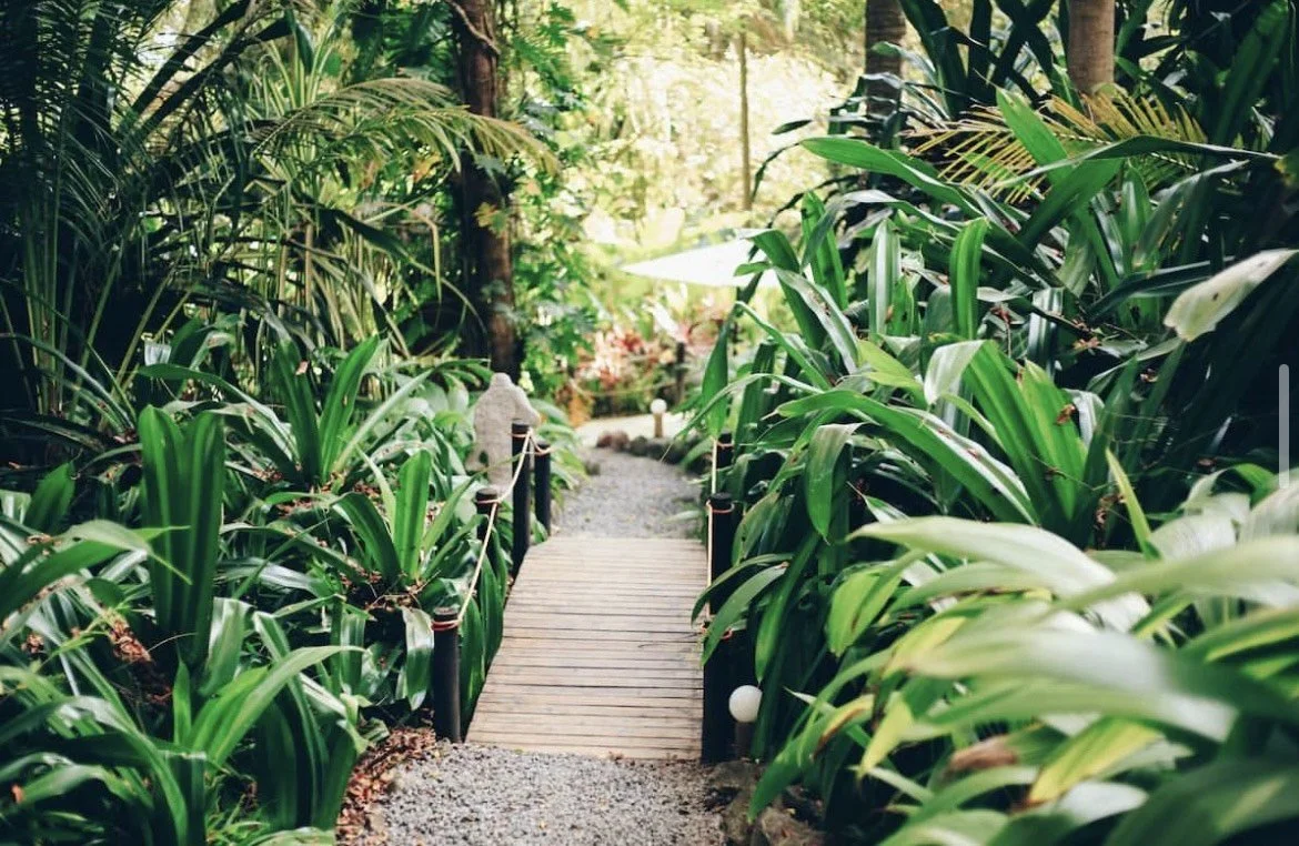 image_123650291 (5).JPG