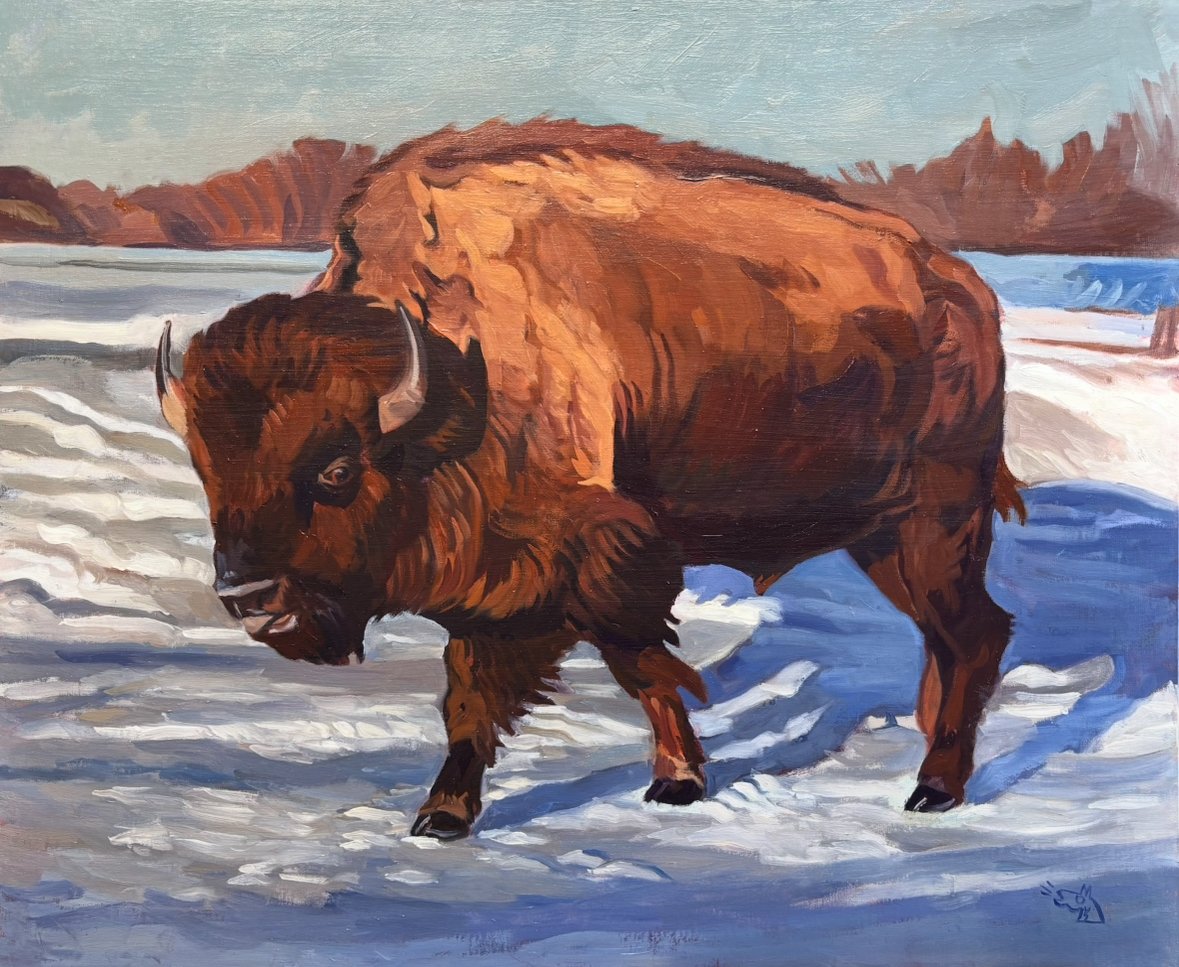 Prairie Bull, 2025