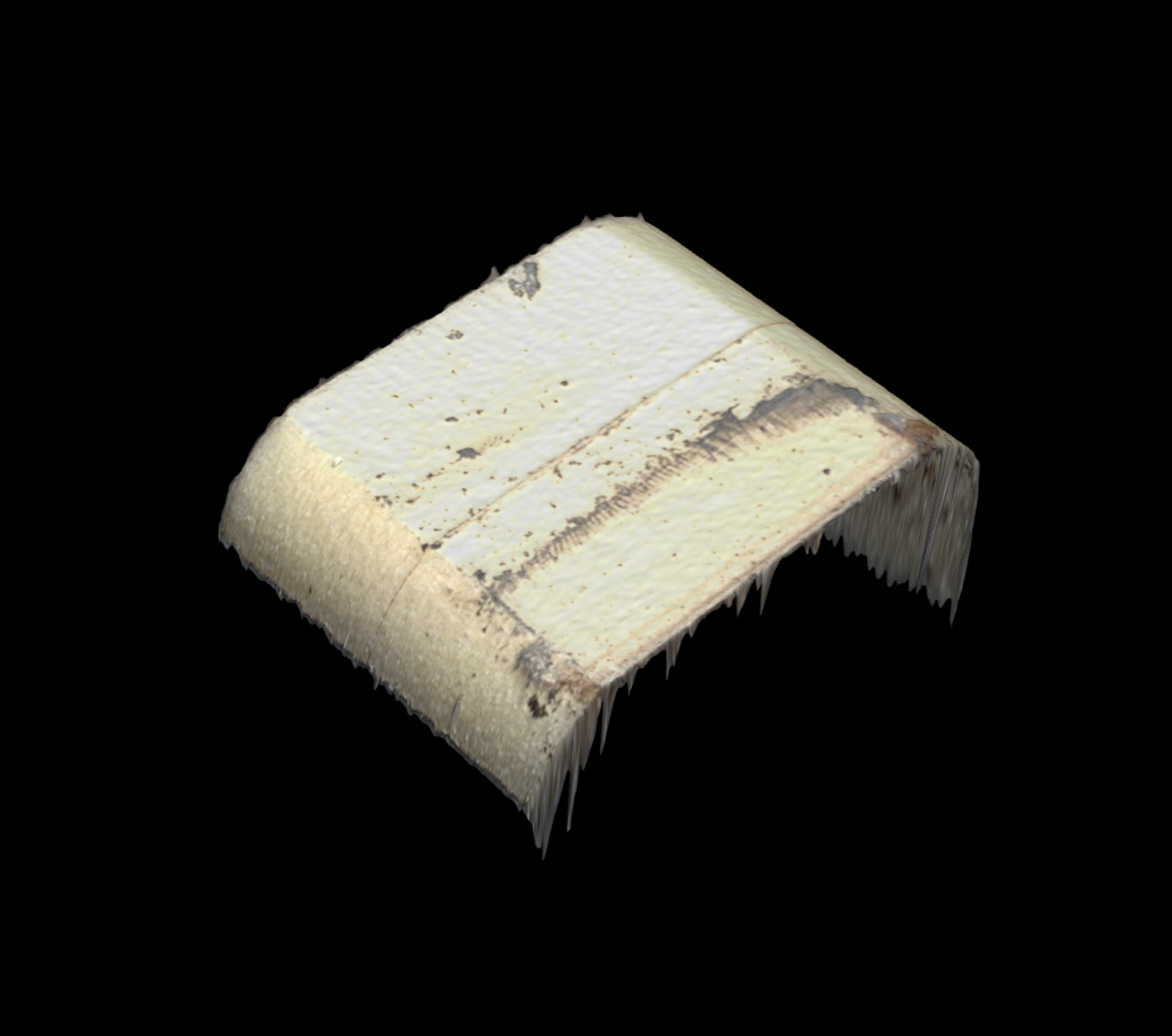 Keyence Scan of Worn Cam Slider