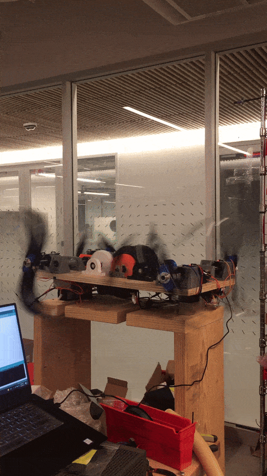 IMG_1581-ezgif.com-optimize (1).gif