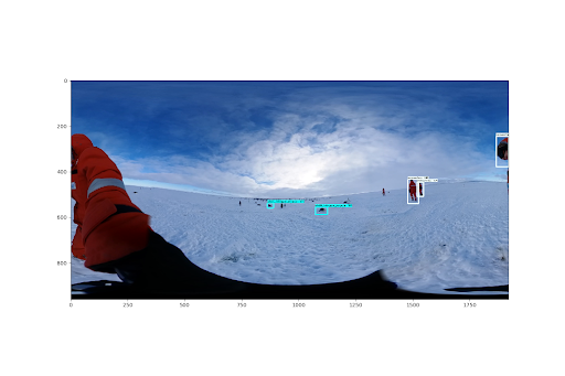 Penguin Detection Example