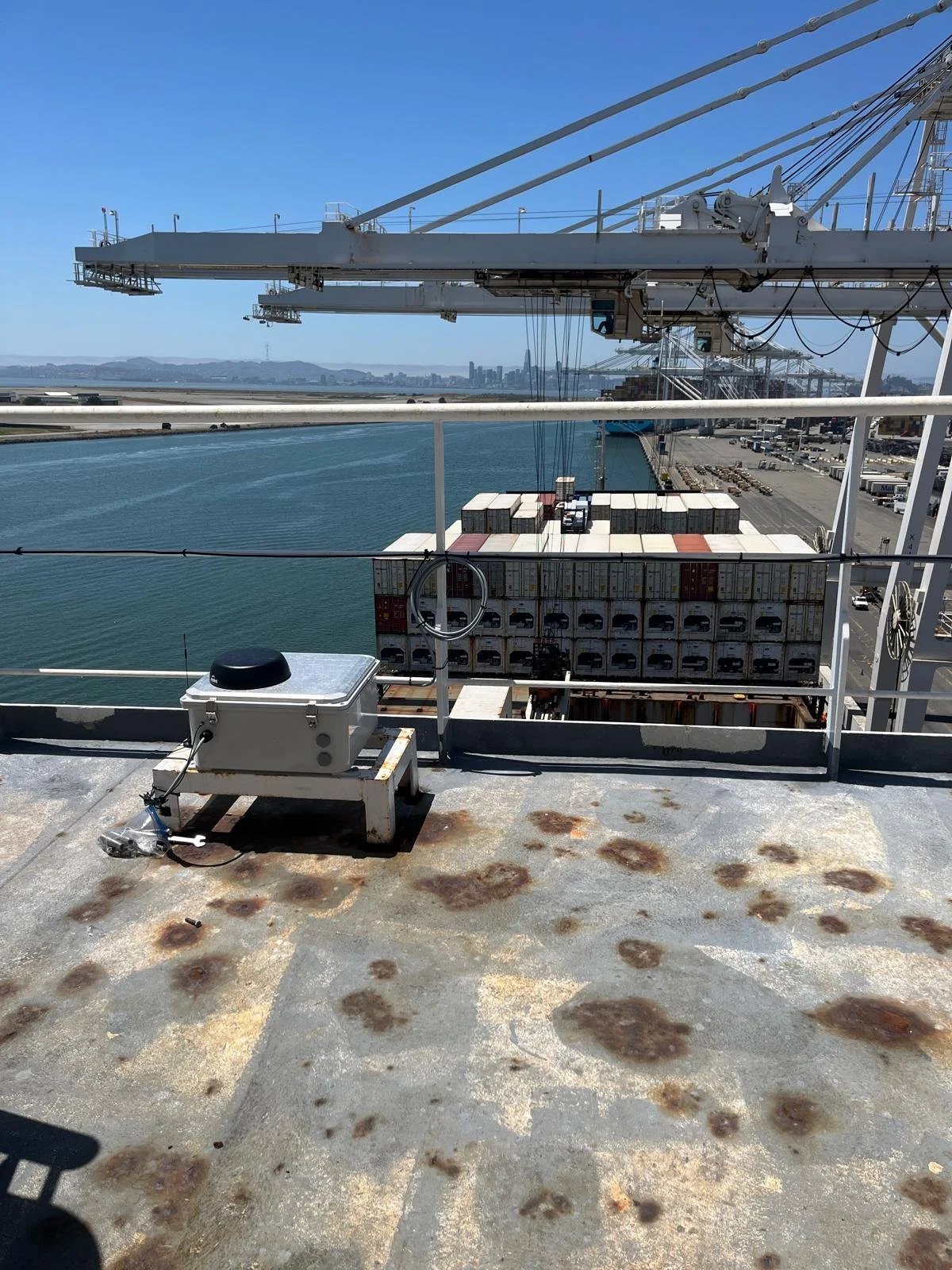 Deployed Whale Spotter