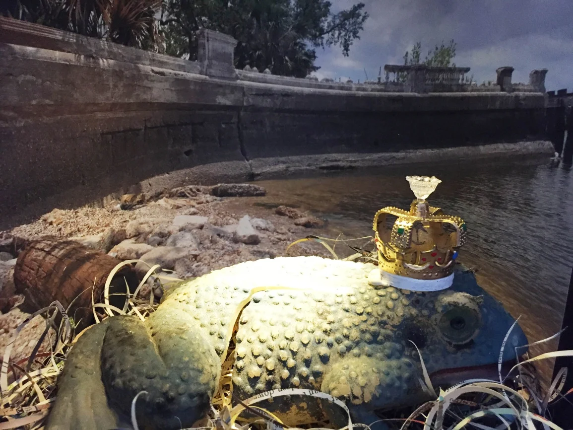 frog_b.jpg